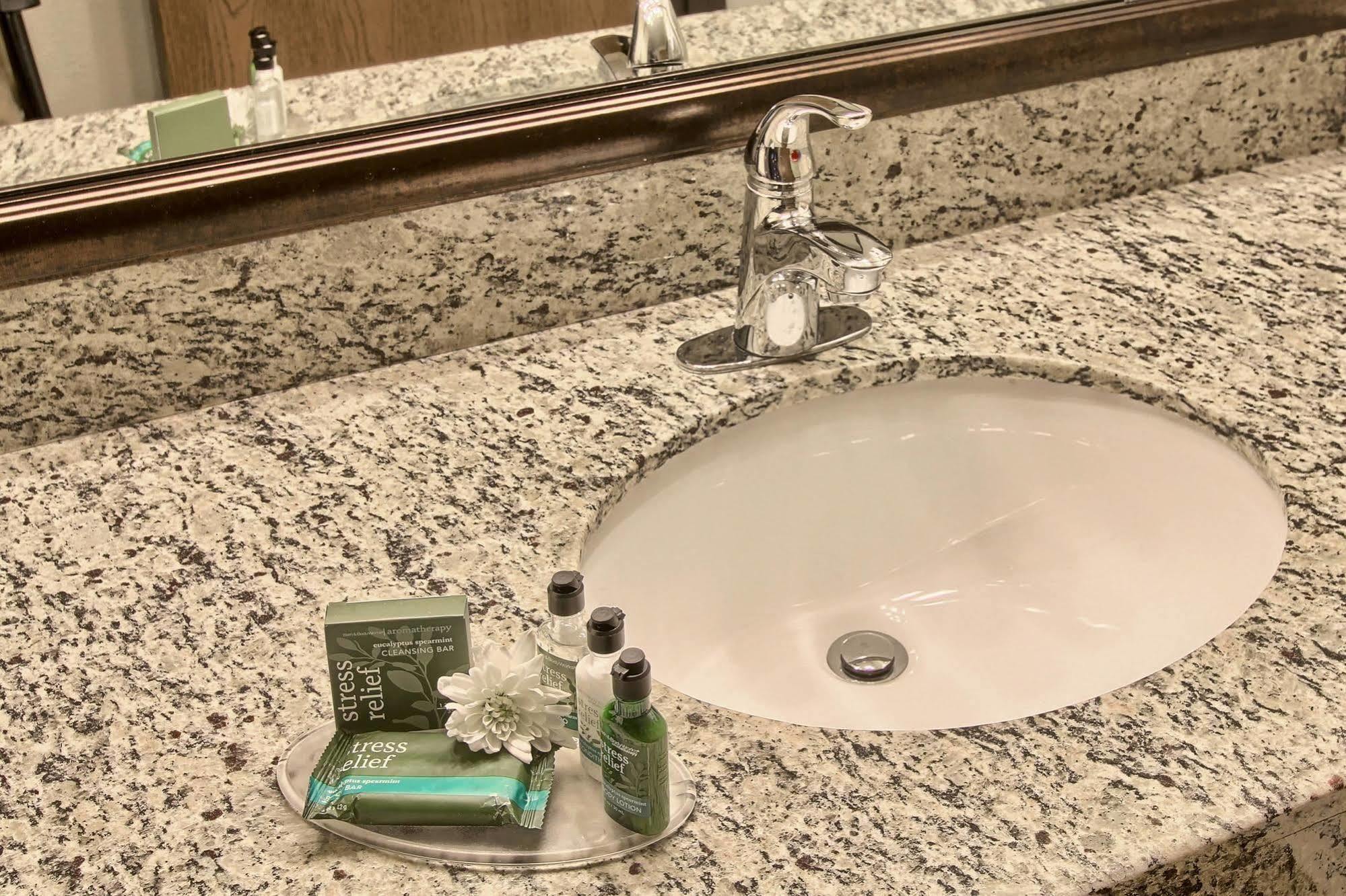 Blossom Hotel & Suites Traverse City Eksteriør billede